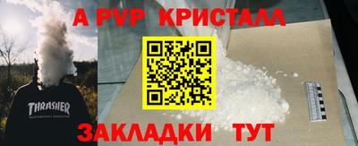 хмурый Кингисепп