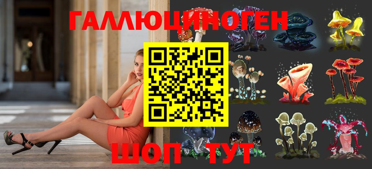 Псилоцибиновые грибы Psilocybine cubensis Благовещенск